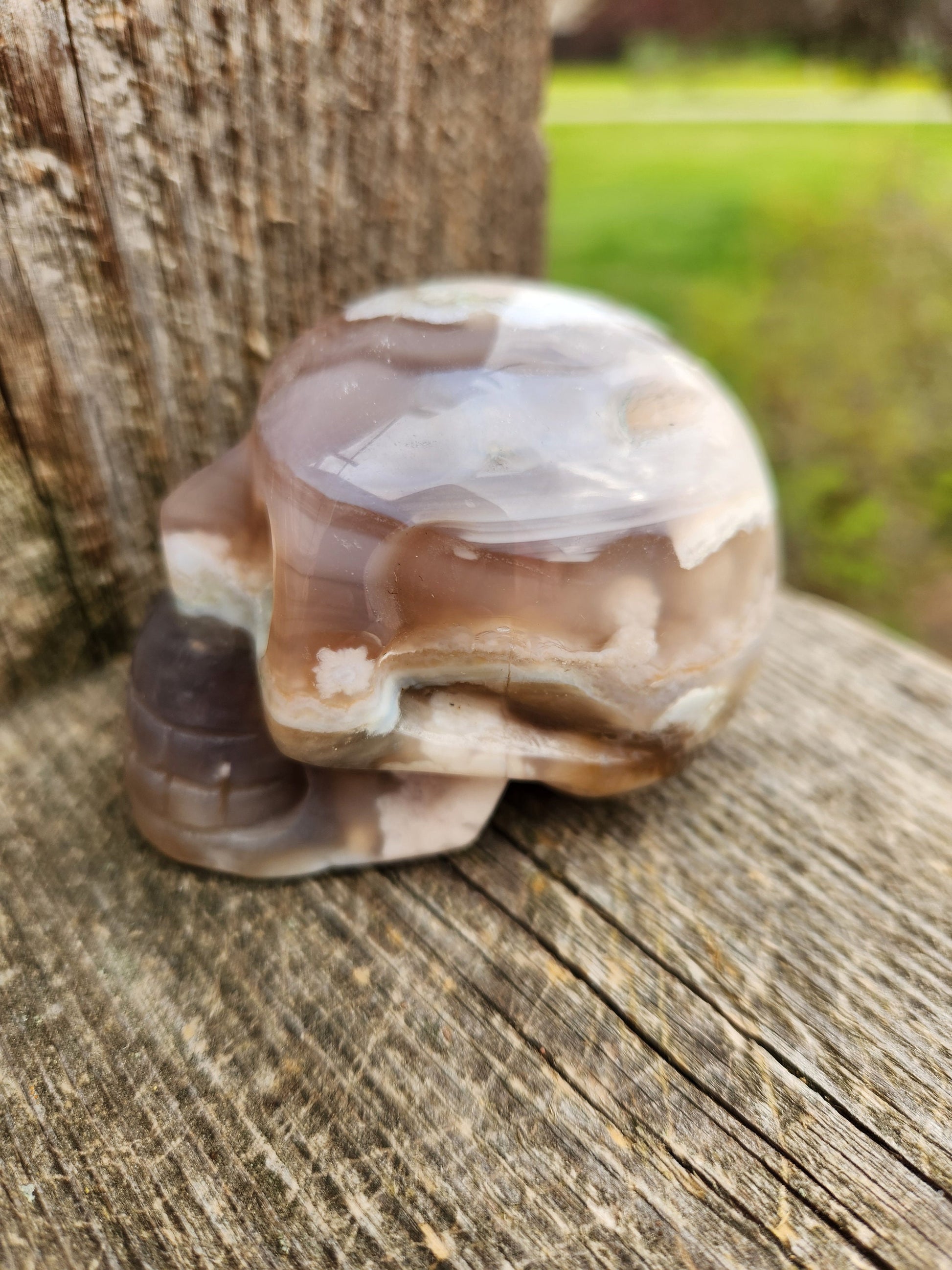 Crazy Cool Scary AAA Flower Agate Crystal Skull with flower plumes