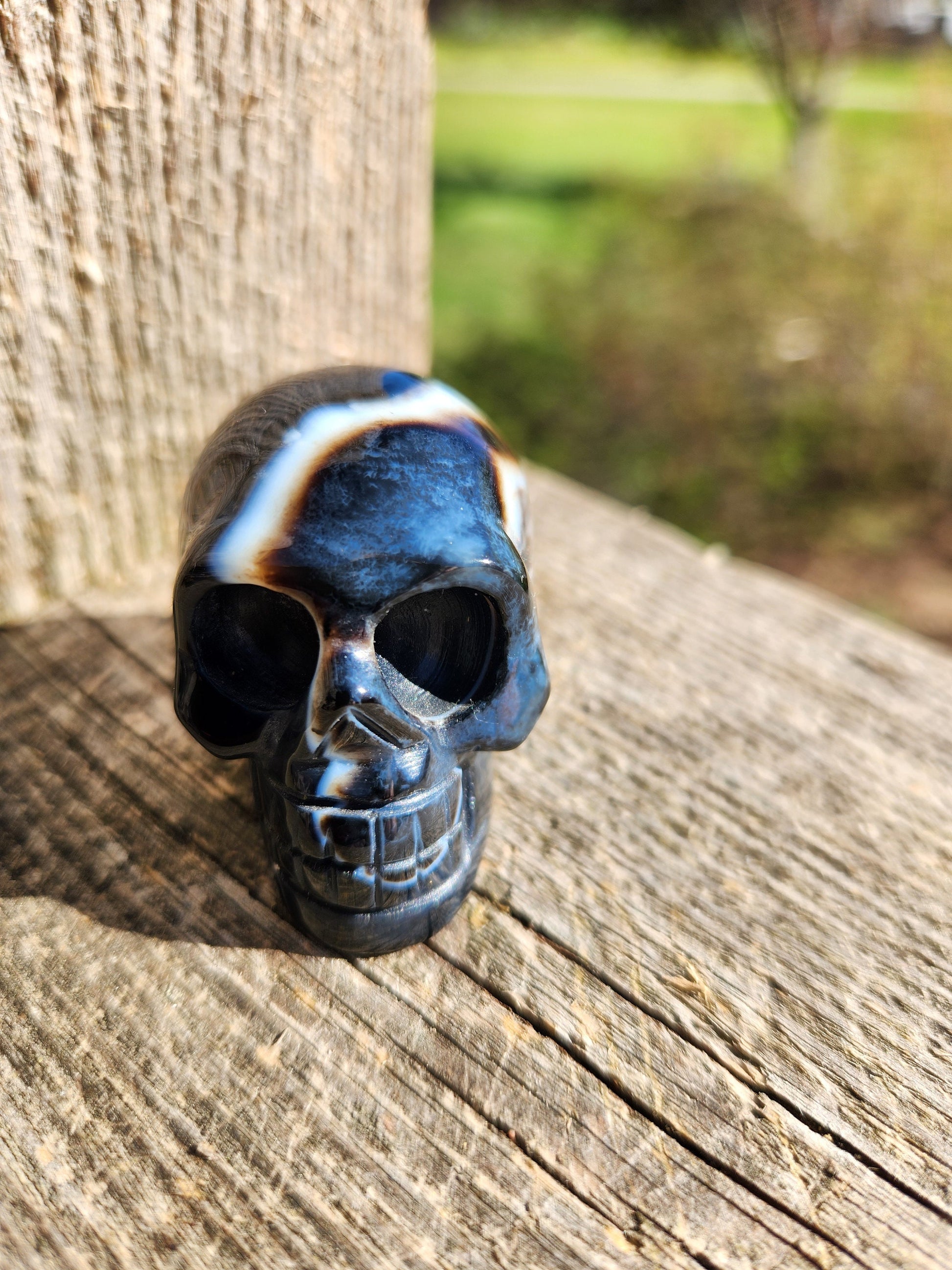 Beautiful AAA High Quality Black Onyx Crystal Unique Skull