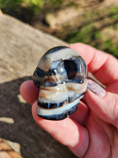 Black Onyx Skull: Hand Carved Agate Crystal, AAA Grade