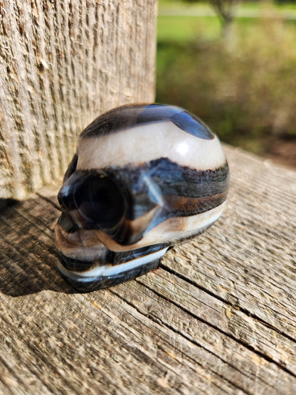 Black Onyx Skull: Hand Carved Agate Crystal, AAA Grade