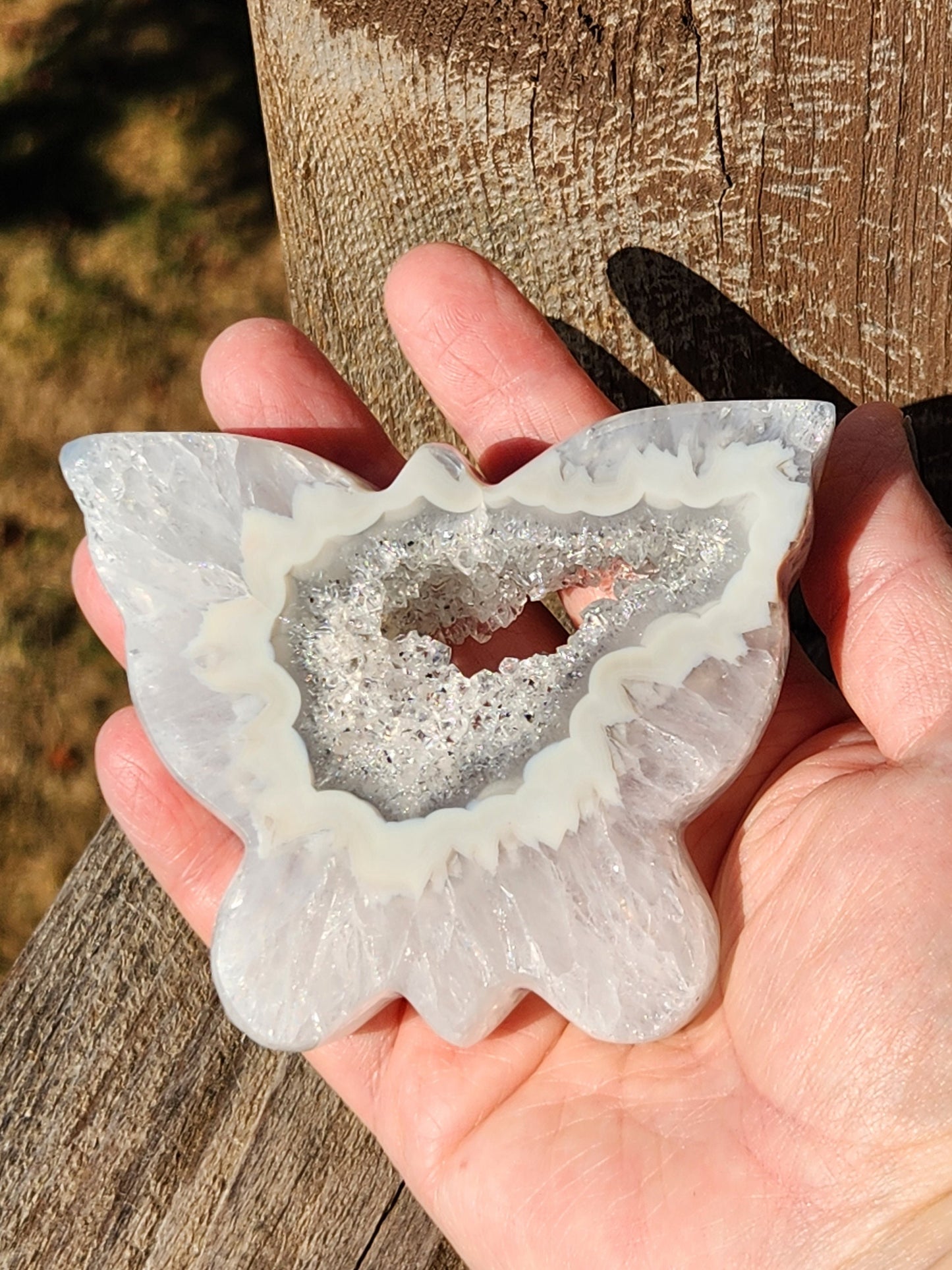 Stunningly AAA White & Silver Gray Banded Thick Slab Cut Druzy Agate Butterfly with stand Druzy goes all the way through, Portal