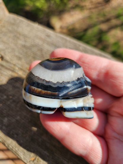 Black Onyx Skull: Hand Carved Agate Crystal, AAA Grade
