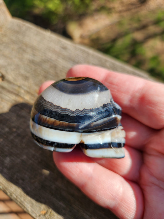 Black Onyx Skull: Hand Carved Agate Crystal, AAA Grade