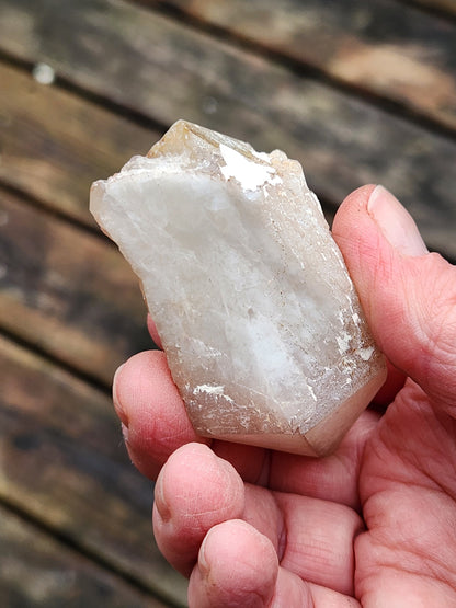 Rare Pineapple Lithium Quartz Point: Natural Crystal, DT