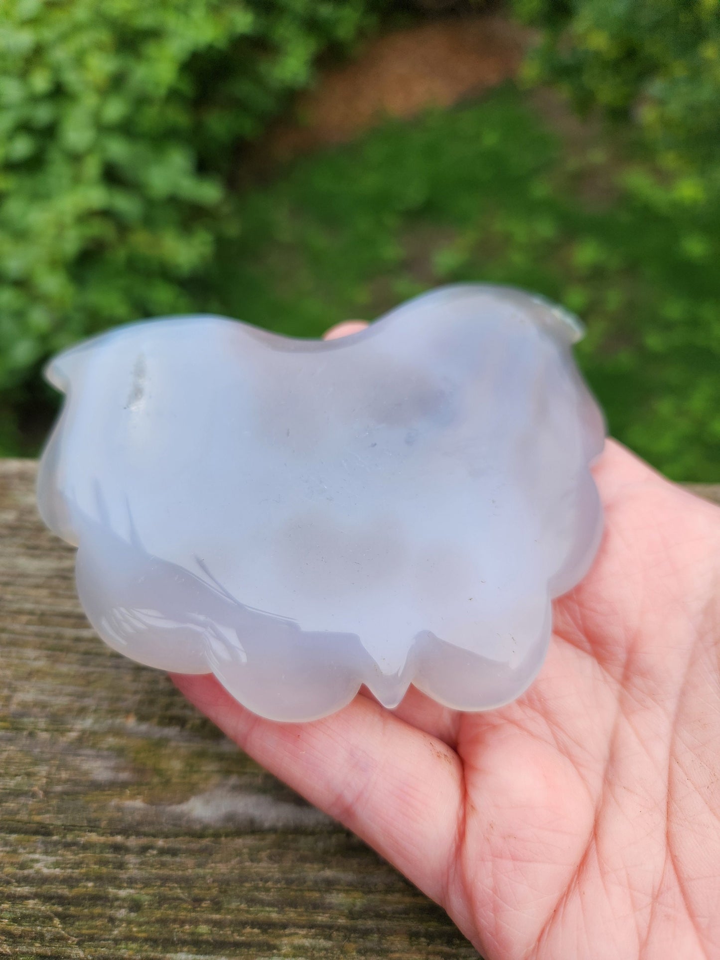 Carved Druzy Agate Crystal Butterfly with Stand