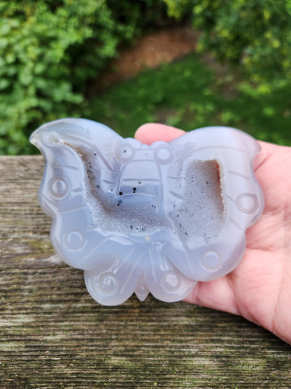 Carved Druzy Agate Crystal Butterfly with Stand