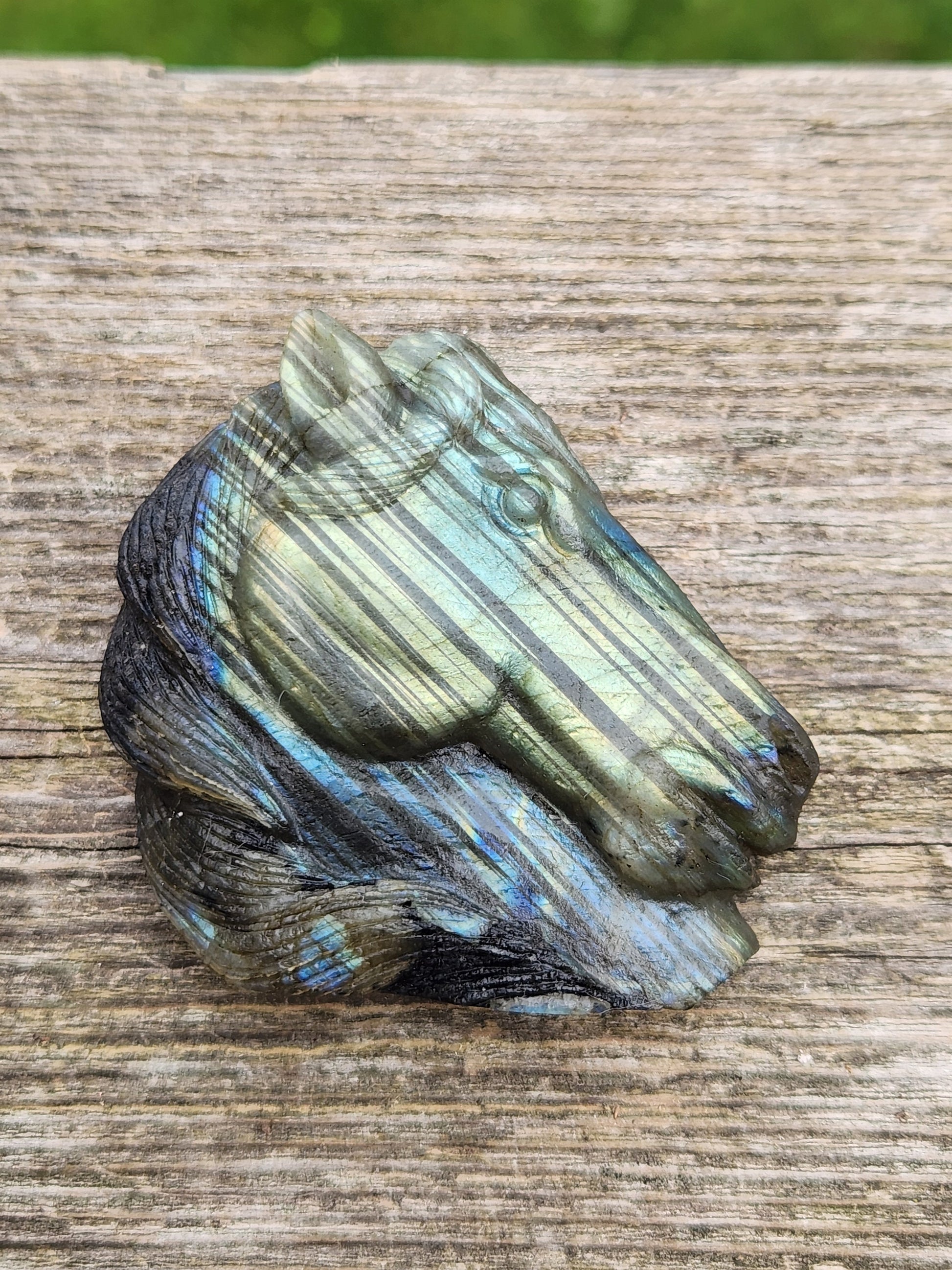 Very Unique Labradorite Horse Head Carved Crystal with flash, Palm Sized