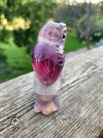 Carved Candy Fluorite Crystal Owl on Natural Root Stone, Unique