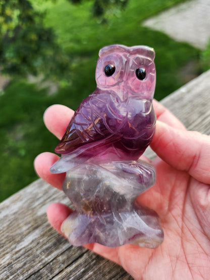 Carved Candy Fluorite Crystal Owl on Natural Root Stone, Unique