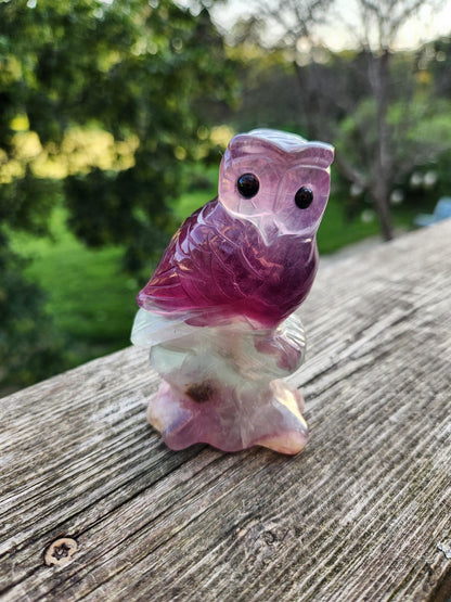 Carved Candy Fluorite Crystal Owl on Natural Root Stone, Unique