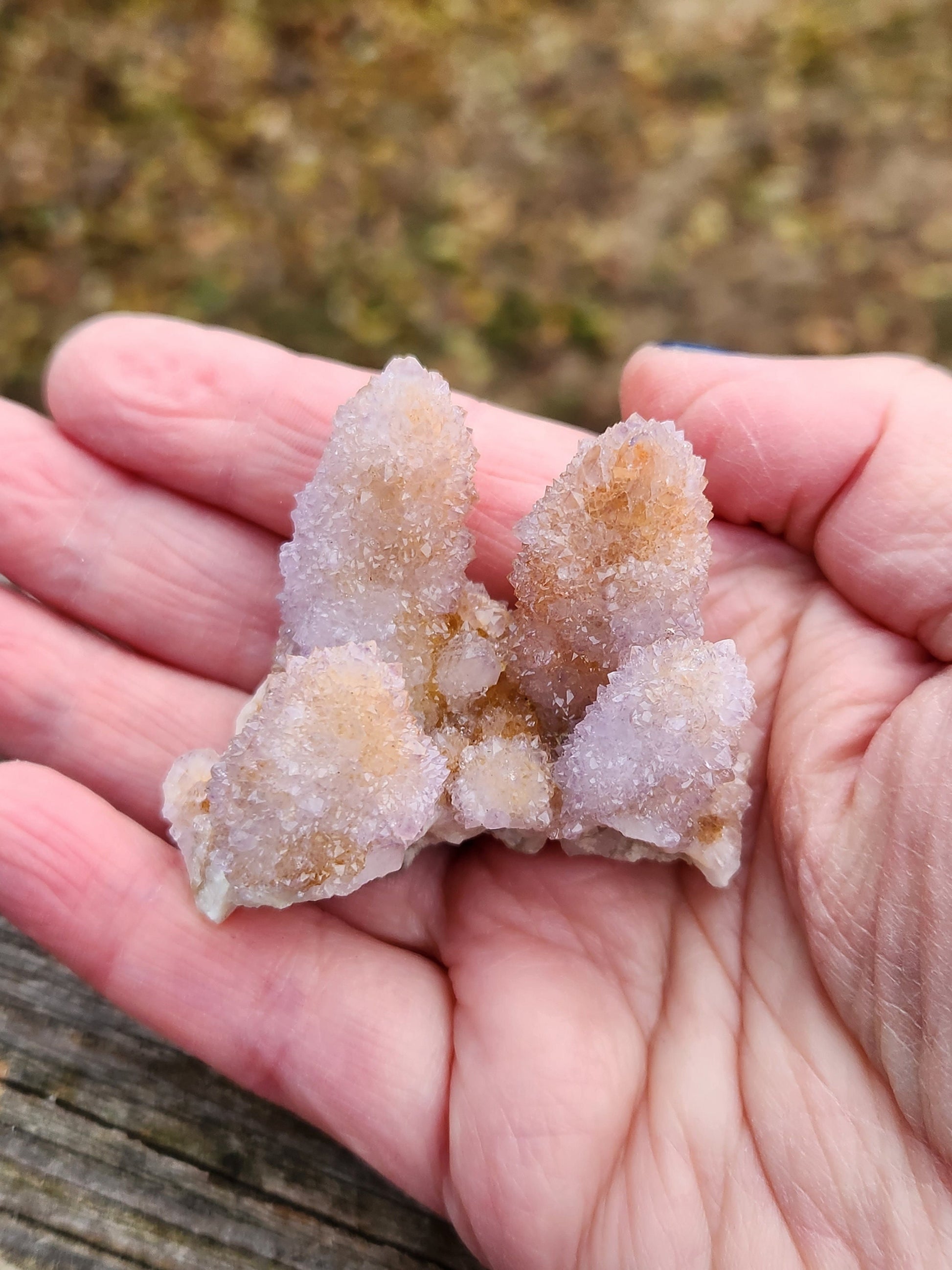 Beautiful AAA Very Large Spirit Quartz Raw Crystal with 4 Large Points Ametrine, South African Cactus Quartz
