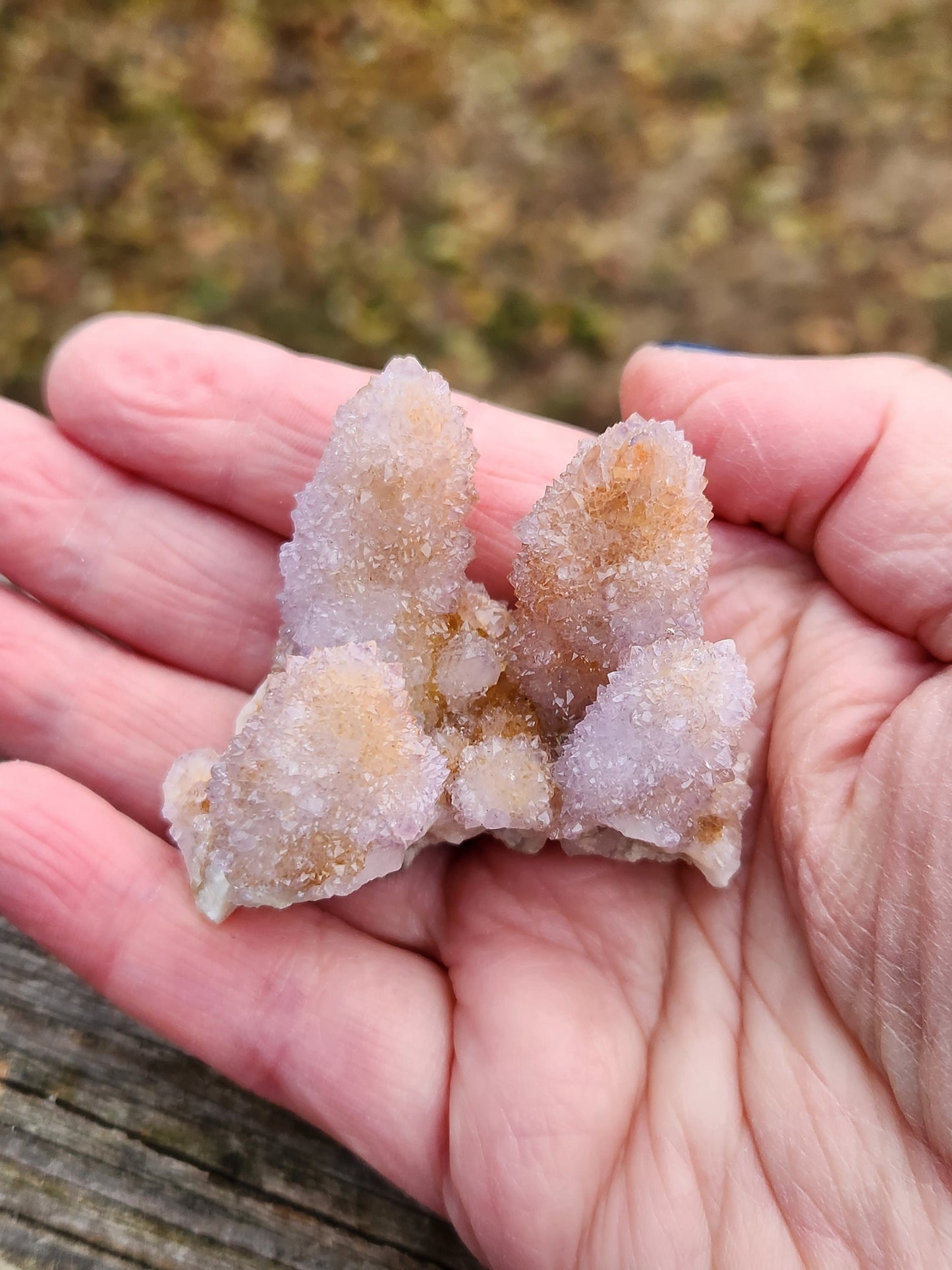 AAA Ametrine Spirit Quartz Cluster: South African Cactus Crystal