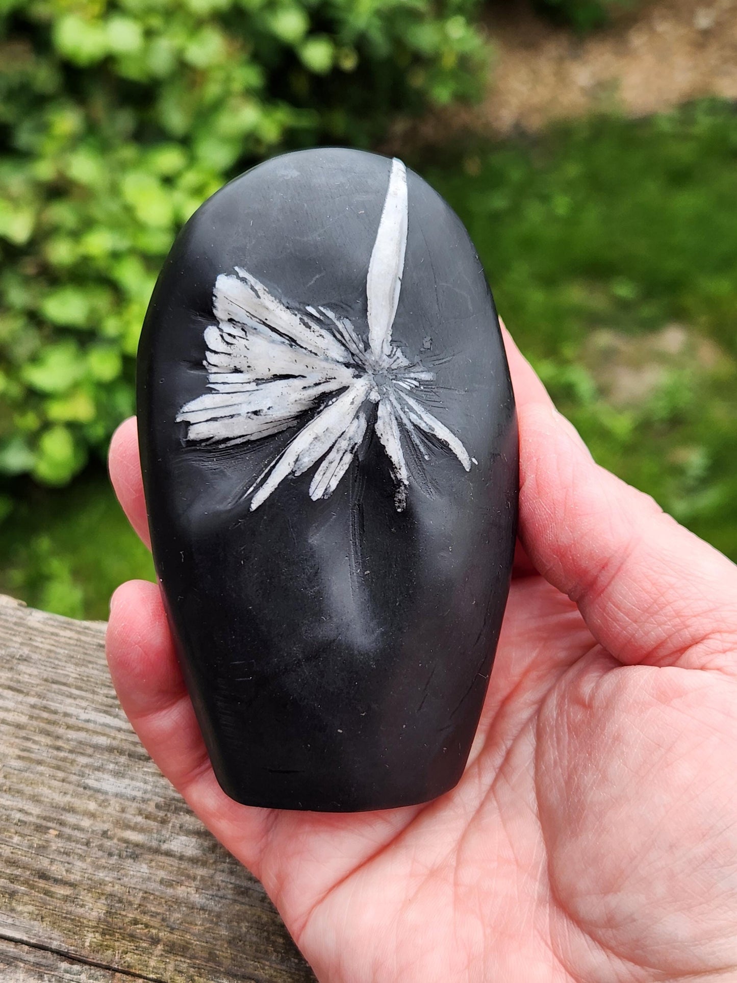 Beautifully Smooth Chrysanthemum Stone Crystal Free Form