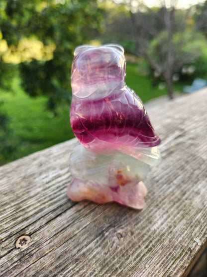 Carved Candy Fluorite Crystal Owl on Natural Root Stone, Unique