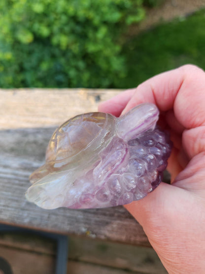 Carved Candy Fluorite Crystal Turtle: Colorful Natural Stone Figurine