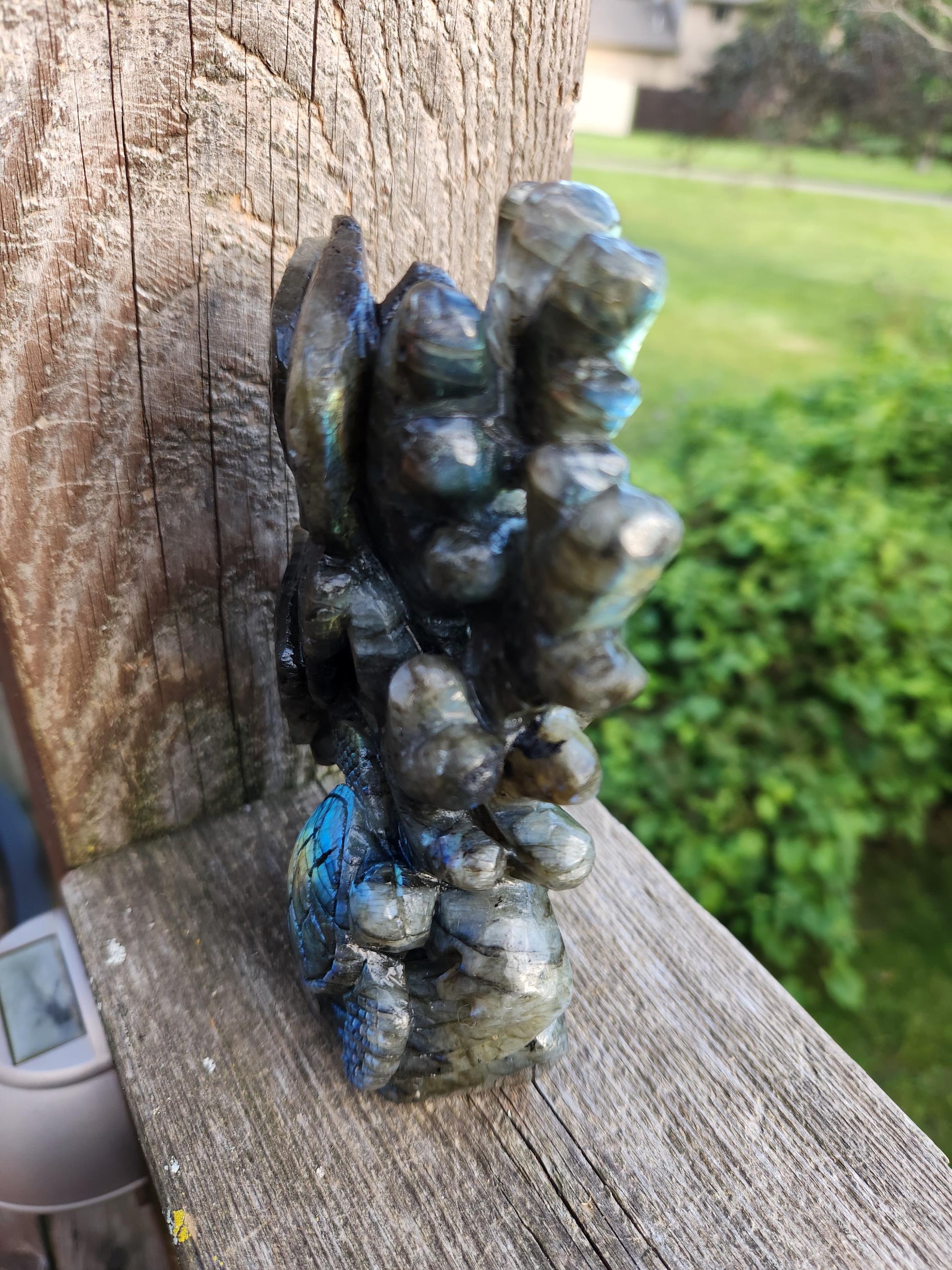 Very Unique & Rare Labradorite Fish, Turtle and Reef Underwater Large Carved Crystal with flash