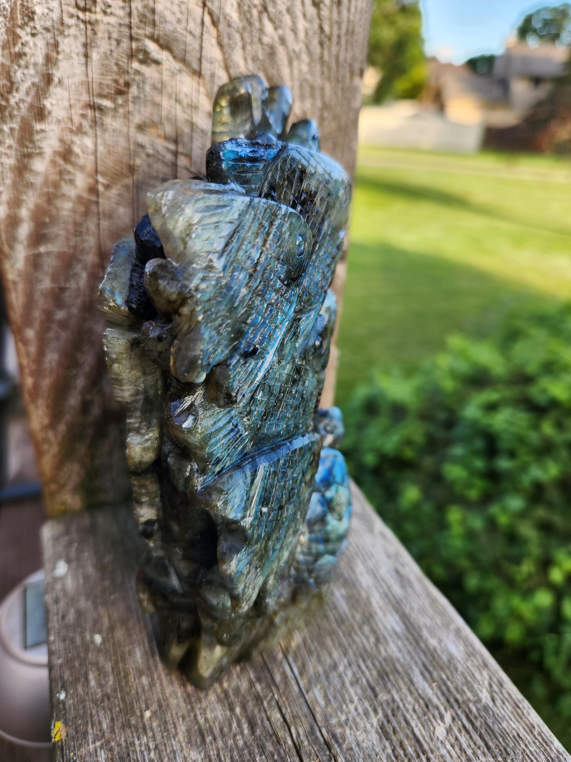 Very Unique & Rare Labradorite Fish, Turtle and Reef Underwater Large Carved Crystal with flash