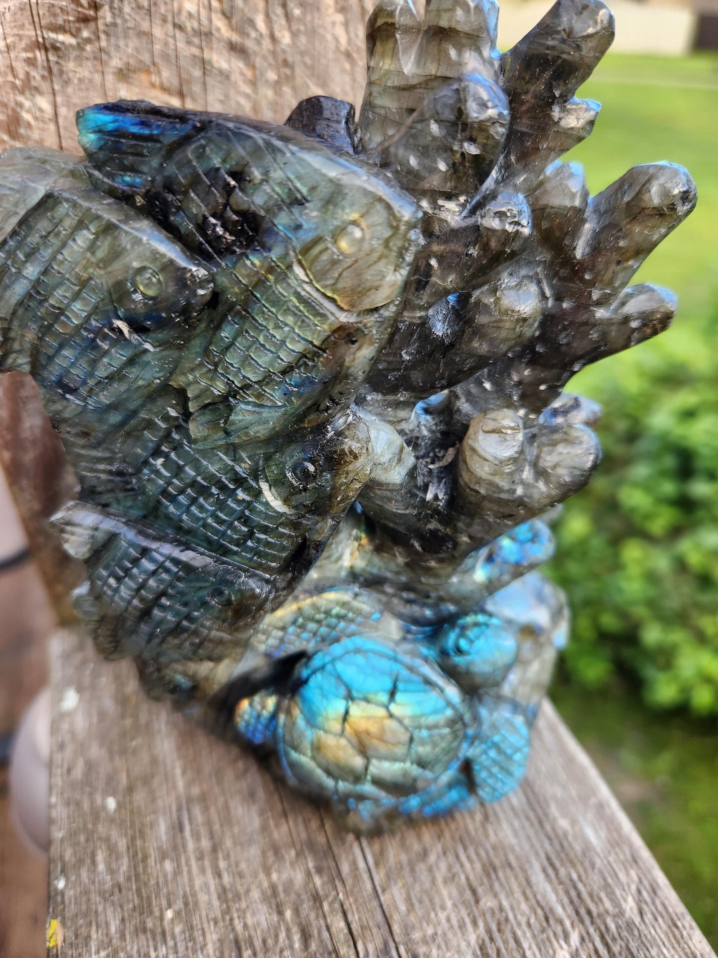 Very Unique & Rare Labradorite Fish, Turtle and Reef Underwater Large Carved Crystal with flash