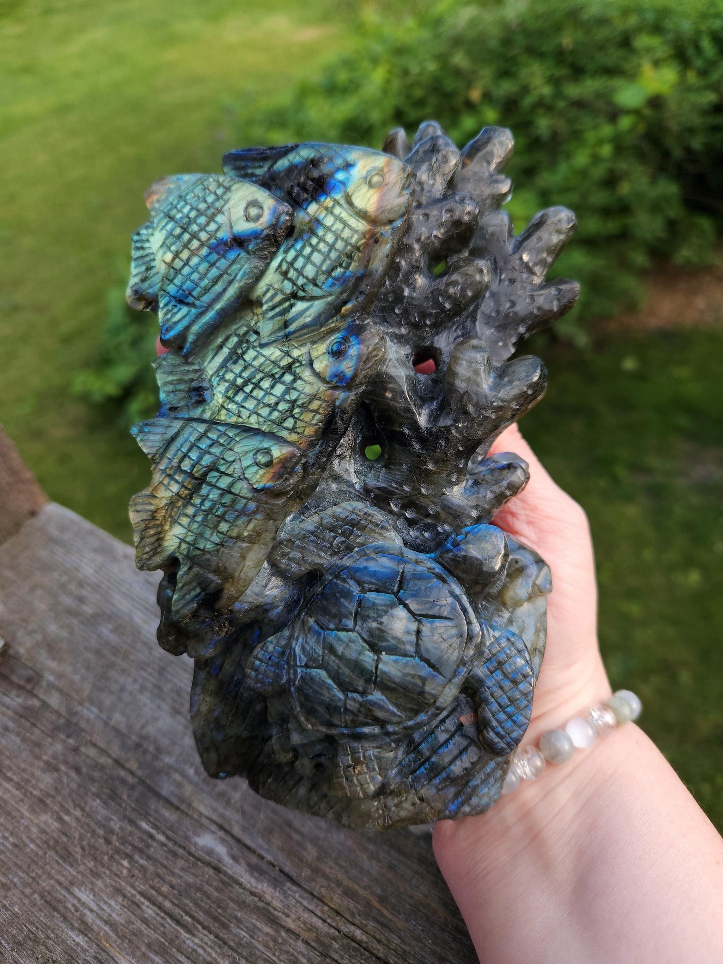 Very Unique & Rare Labradorite Fish, Turtle and Reef Underwater Large Carved Crystal with flash