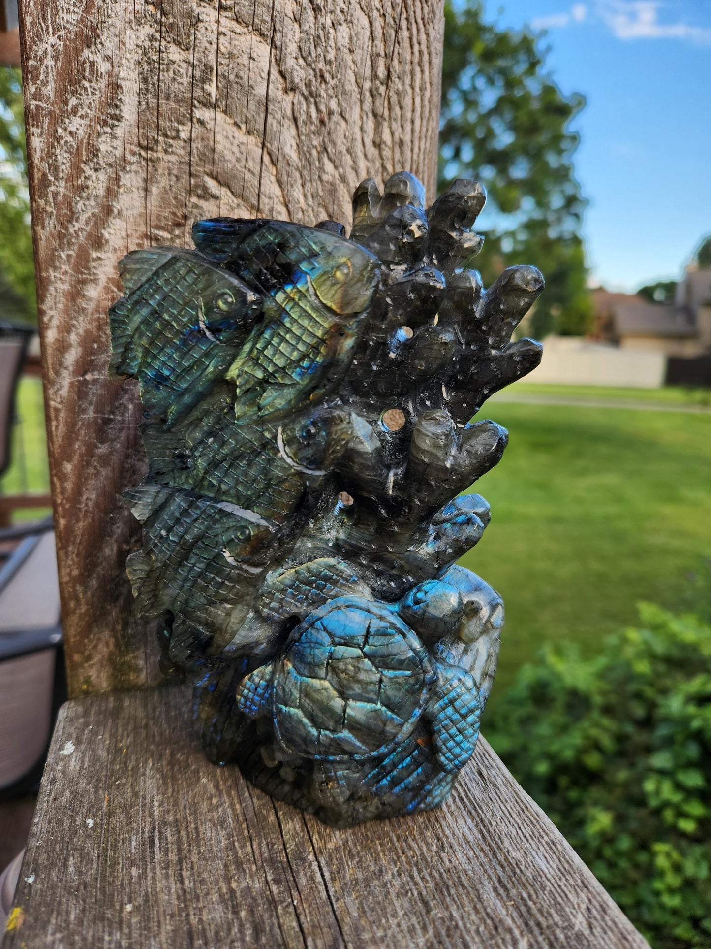 Very Unique & Rare Labradorite Fish, Turtle and Reef Underwater Large Carved Crystal with flash