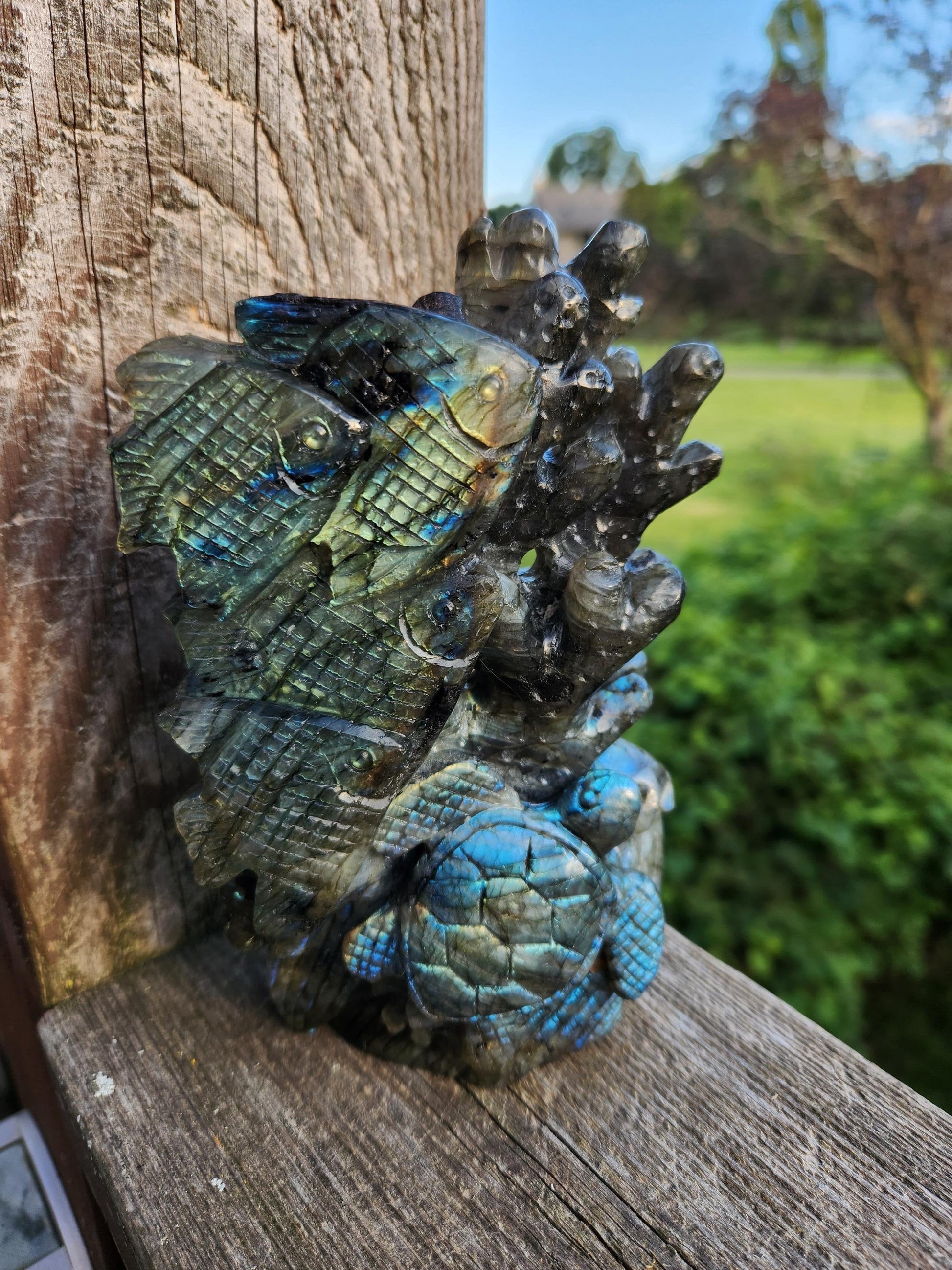 Very Unique & Rare Labradorite Fish, Turtle and Reef Underwater Large Carved Crystal with flash