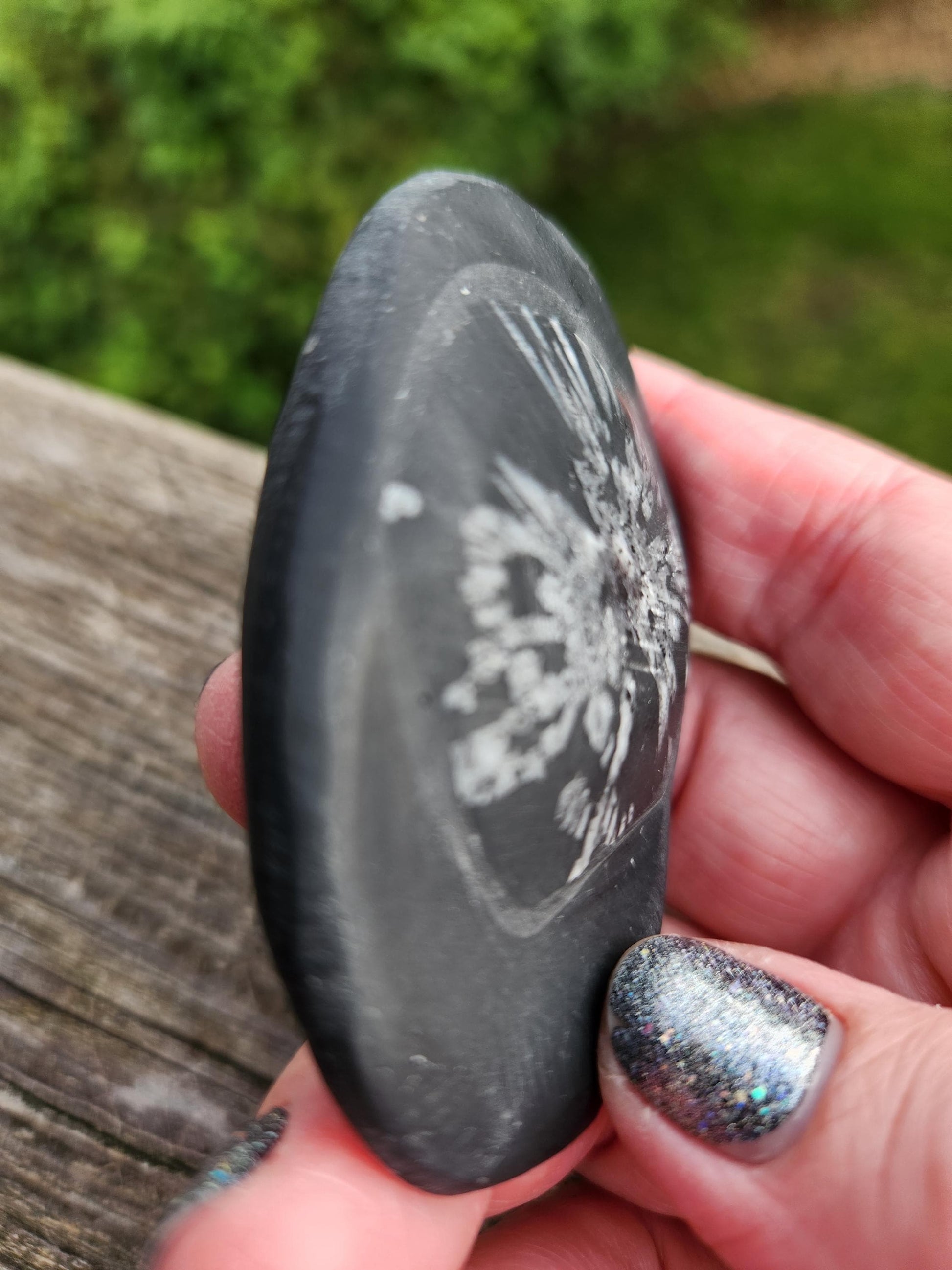 Chrysanthemum Stone Crystal, Unique Flower Palm Stone