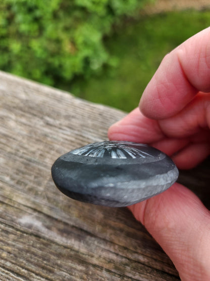 Chrysanthemum Stone Crystal, Unique Flower Palm Stone