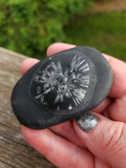 Chrysanthemum Stone Crystal, Unique Flower Palm Stone