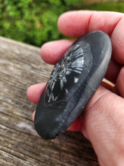 Chrysanthemum Stone Crystal, Unique Flower Palm Stone