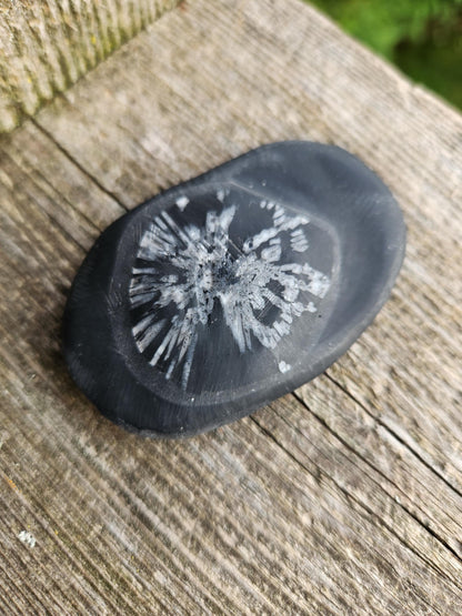 Chrysanthemum Stone Crystal, Unique Flower Palm Stone