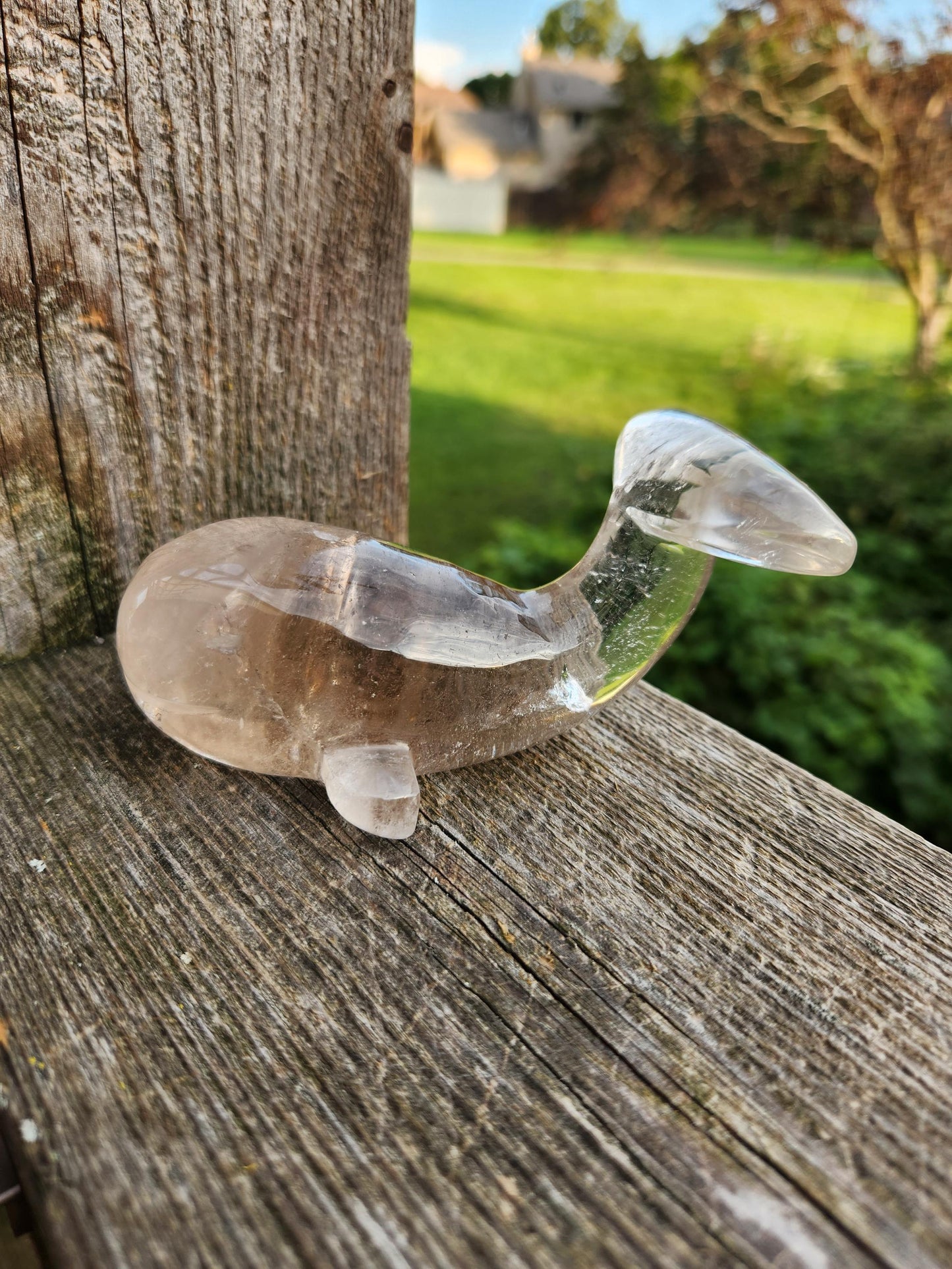 Beautiful Smoky Quartz Whale Crystal High Polish Carving