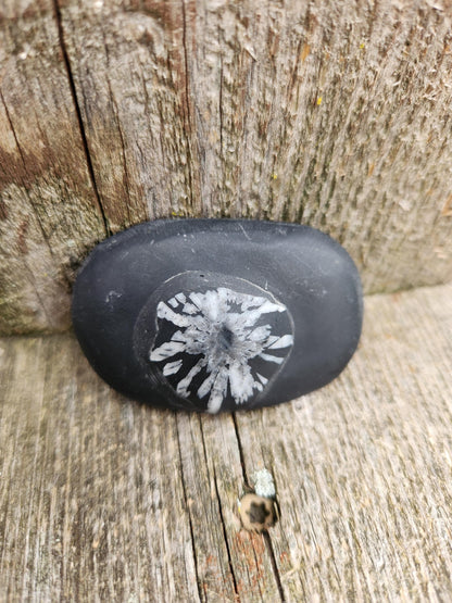 Beautifully Smooth Chrysanthemum Stone Crystal, Palm Stone