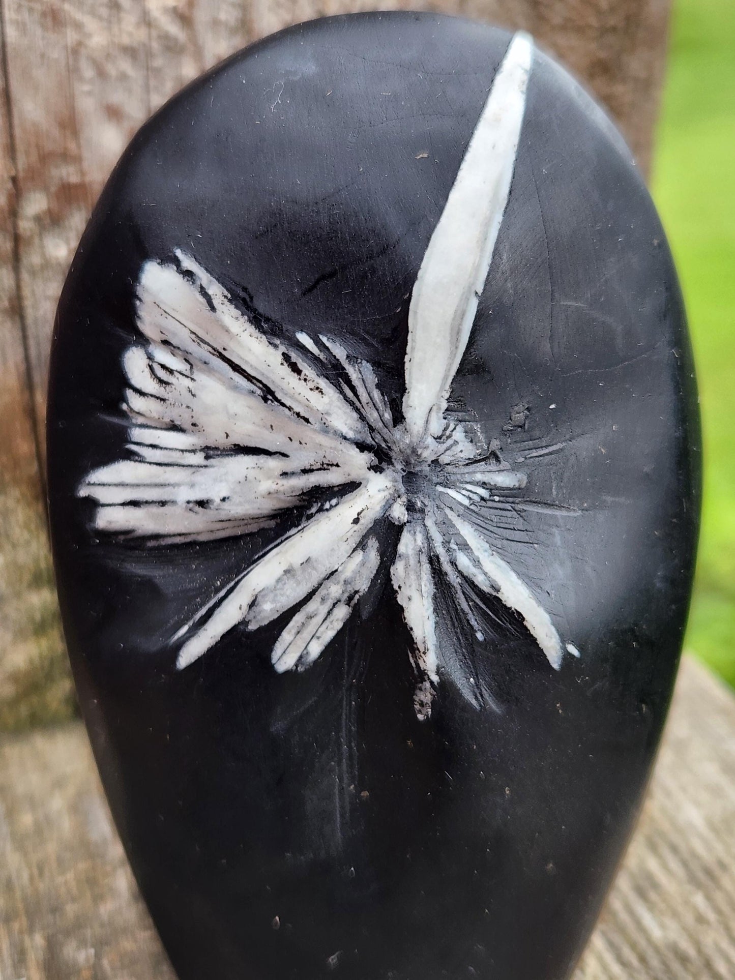 Beautifully Smooth Chrysanthemum Stone Crystal Free Form