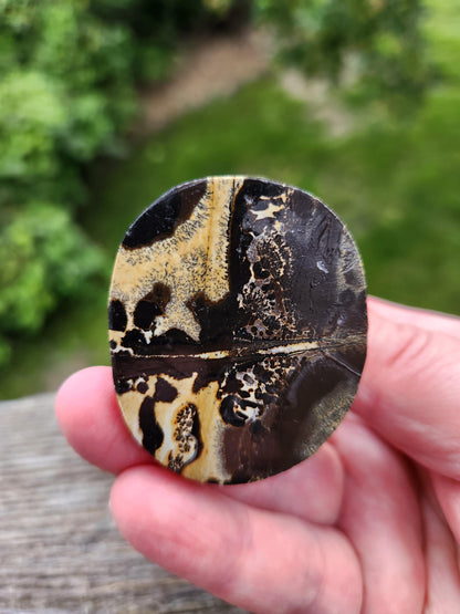 Hand Carved Picture Jasper Cat Figurine: Natural Stone Crystal