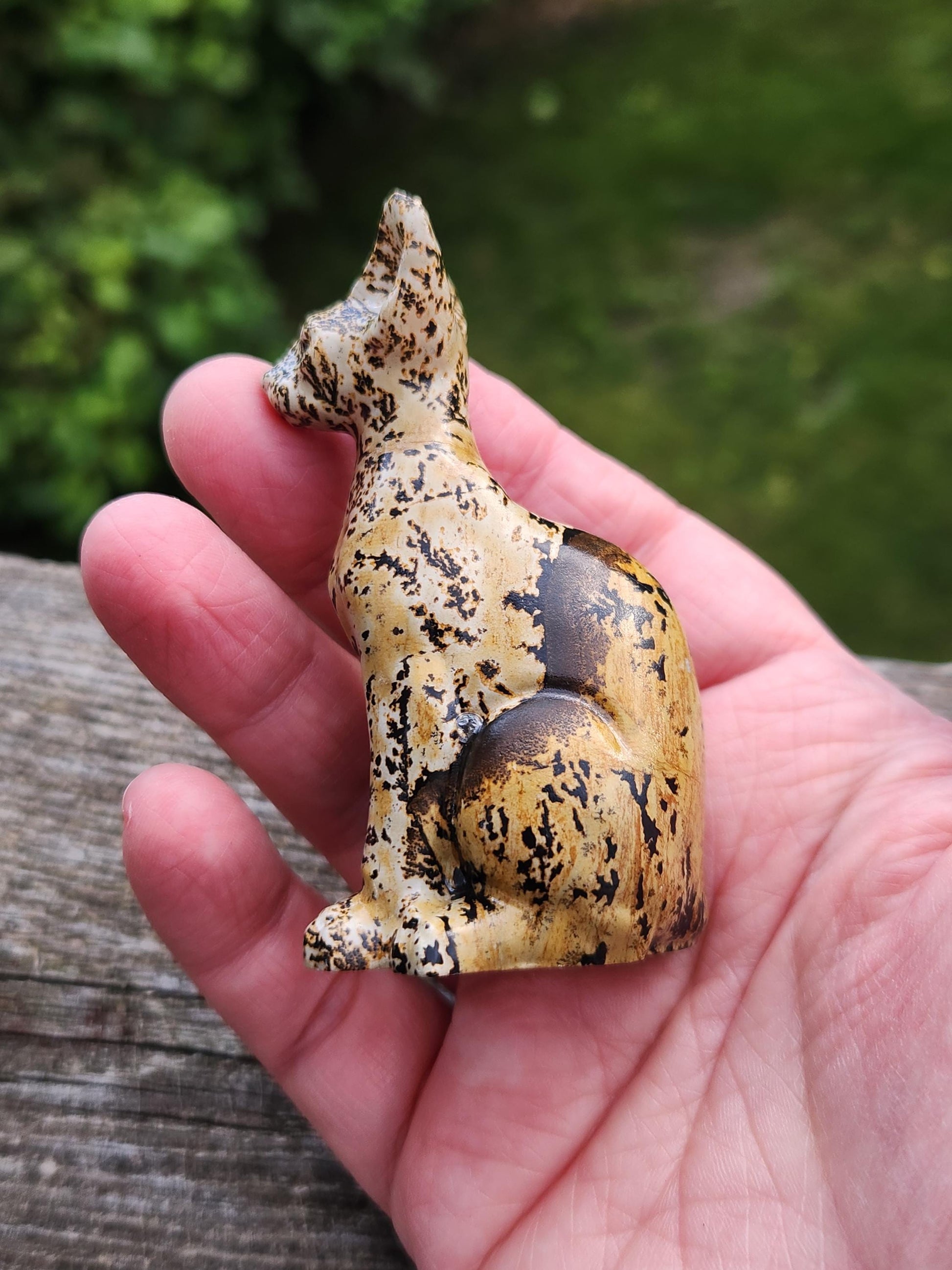 Super Cool Picture Jasper Sitting Cat Natural Stone Crystal, Sphynx