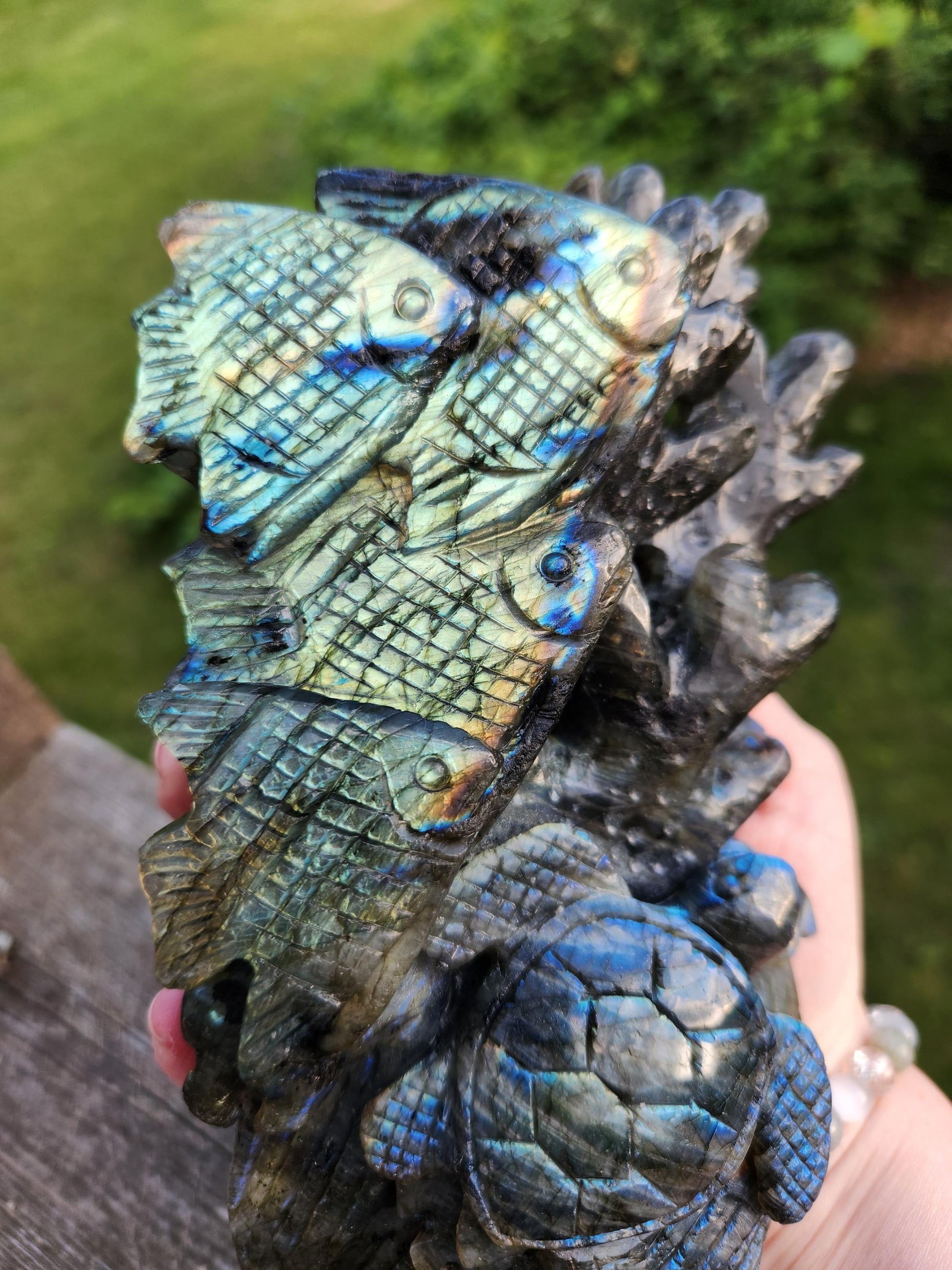 Very Unique & Rare Labradorite Fish, Turtle and Reef Underwater Large Carved Crystal with flash