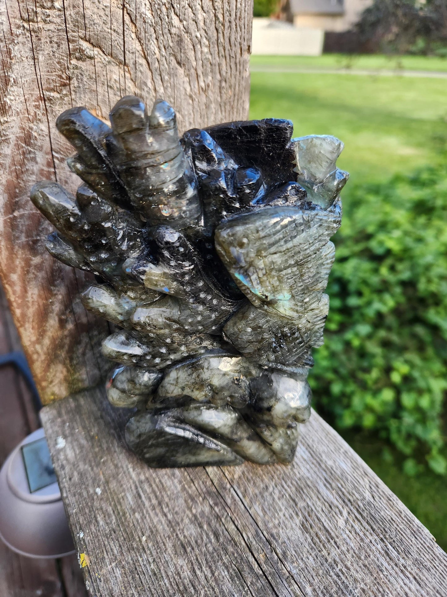 Very Unique & Rare Labradorite Fish, Turtle and Reef Underwater Large Carved Crystal with flash