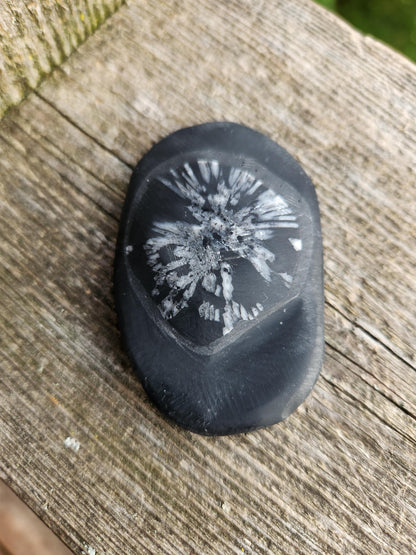 Chrysanthemum Stone Crystal, Unique Flower Palm Stone