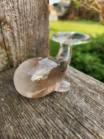 Smoky Quartz Whale Crystal: High Polish Carving, Brazil