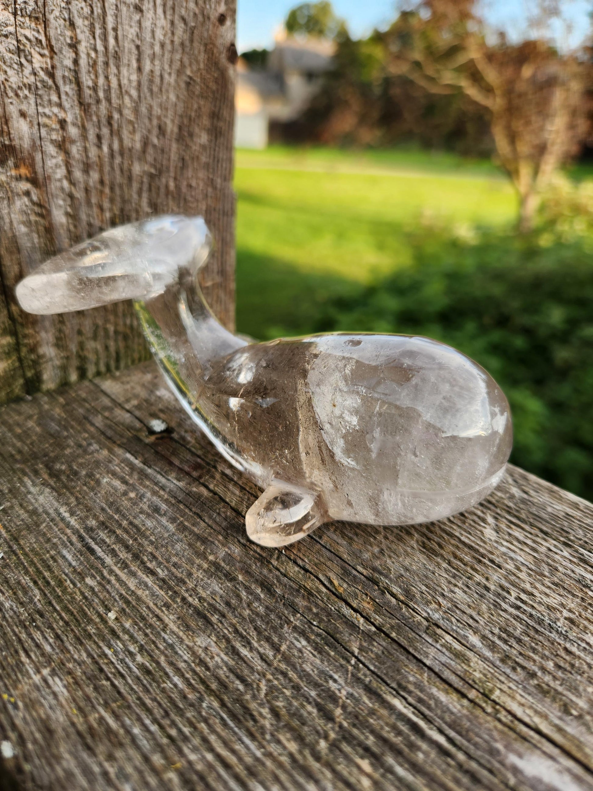 Beautiful Smoky Quartz Whale Crystal High Polish Carving