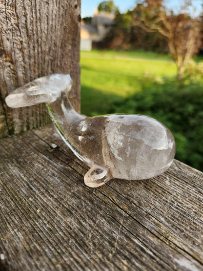 Smoky Quartz Whale Crystal: High Polish Carving, Brazil