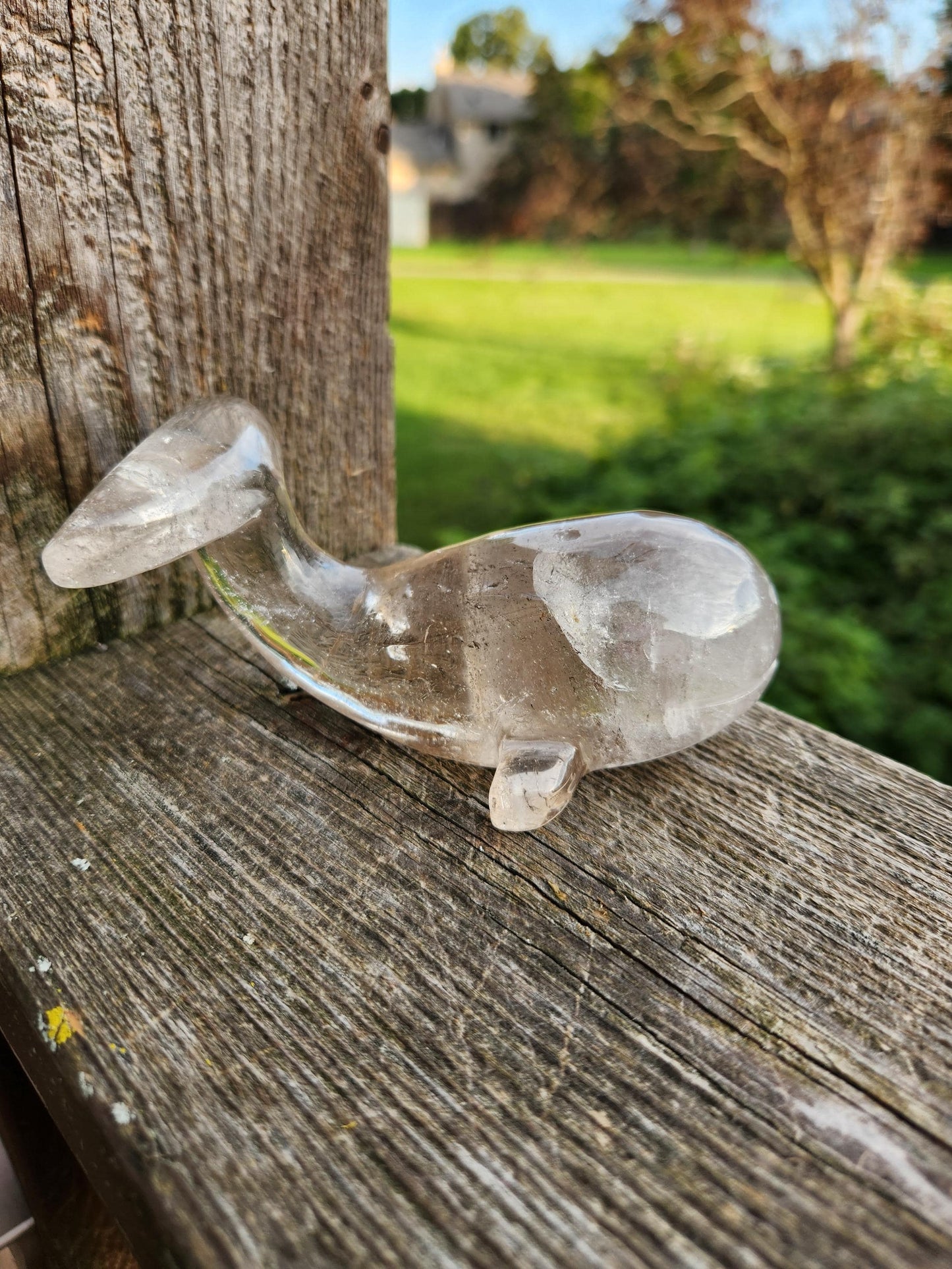 Beautiful Smoky Quartz Whale Crystal High Polish Carving