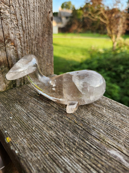 Smoky Quartz Whale Crystal: High Polish Carving, Brazil