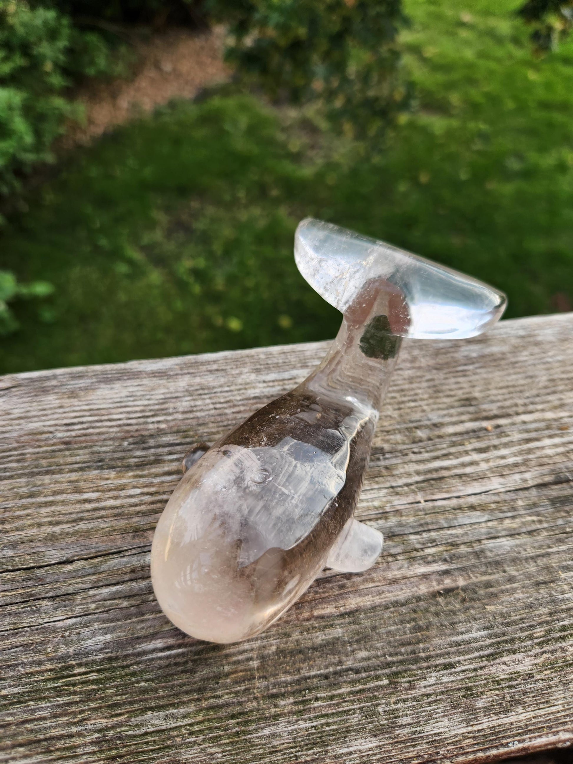 Beautiful Smoky Quartz Whale Crystal High Polish Carving