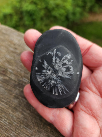 Chrysanthemum Stone Crystal, Unique Flower Palm Stone