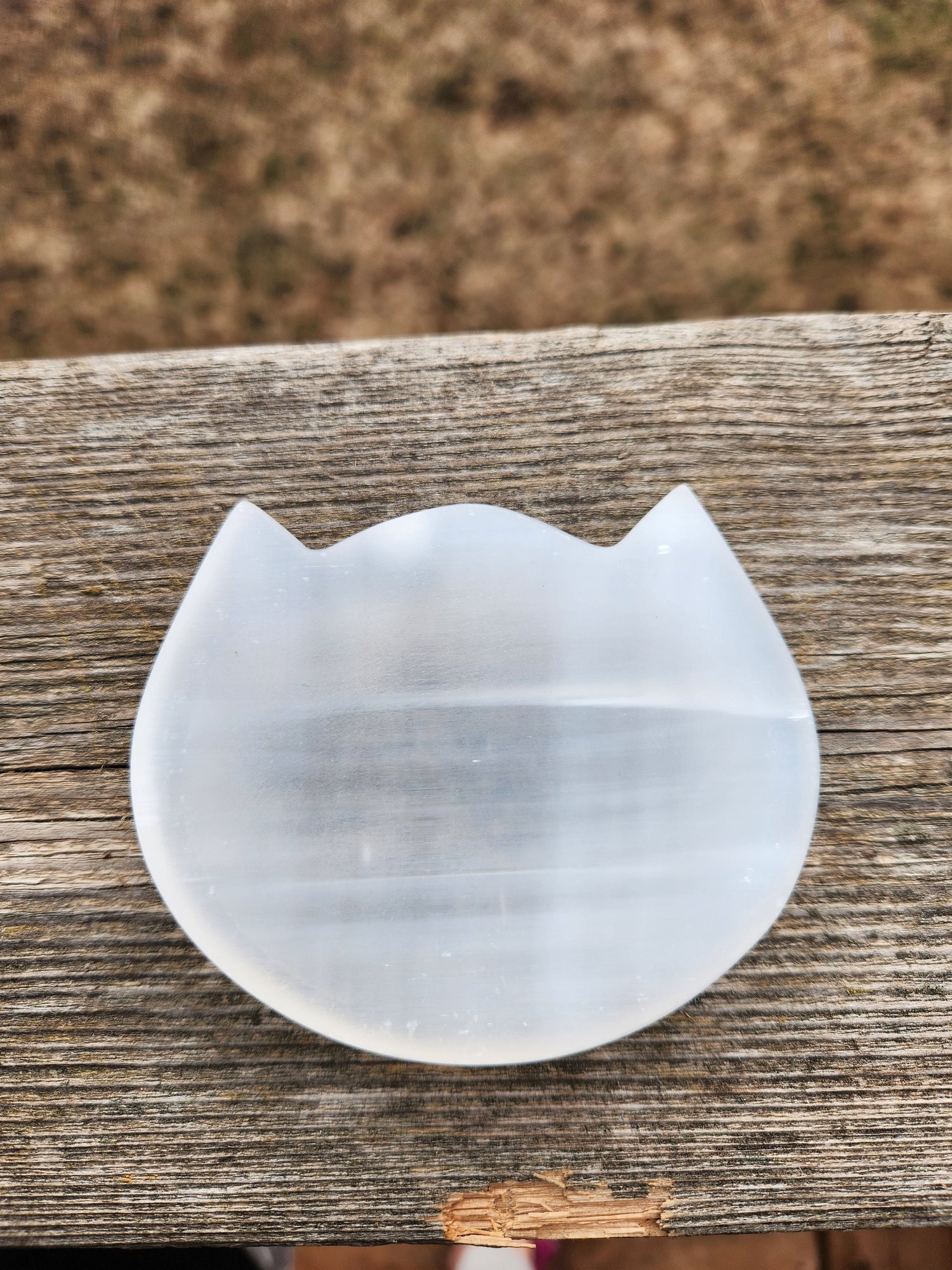 Beautiful Selenite Crystal Cat Shallow Bowl Tray Charging