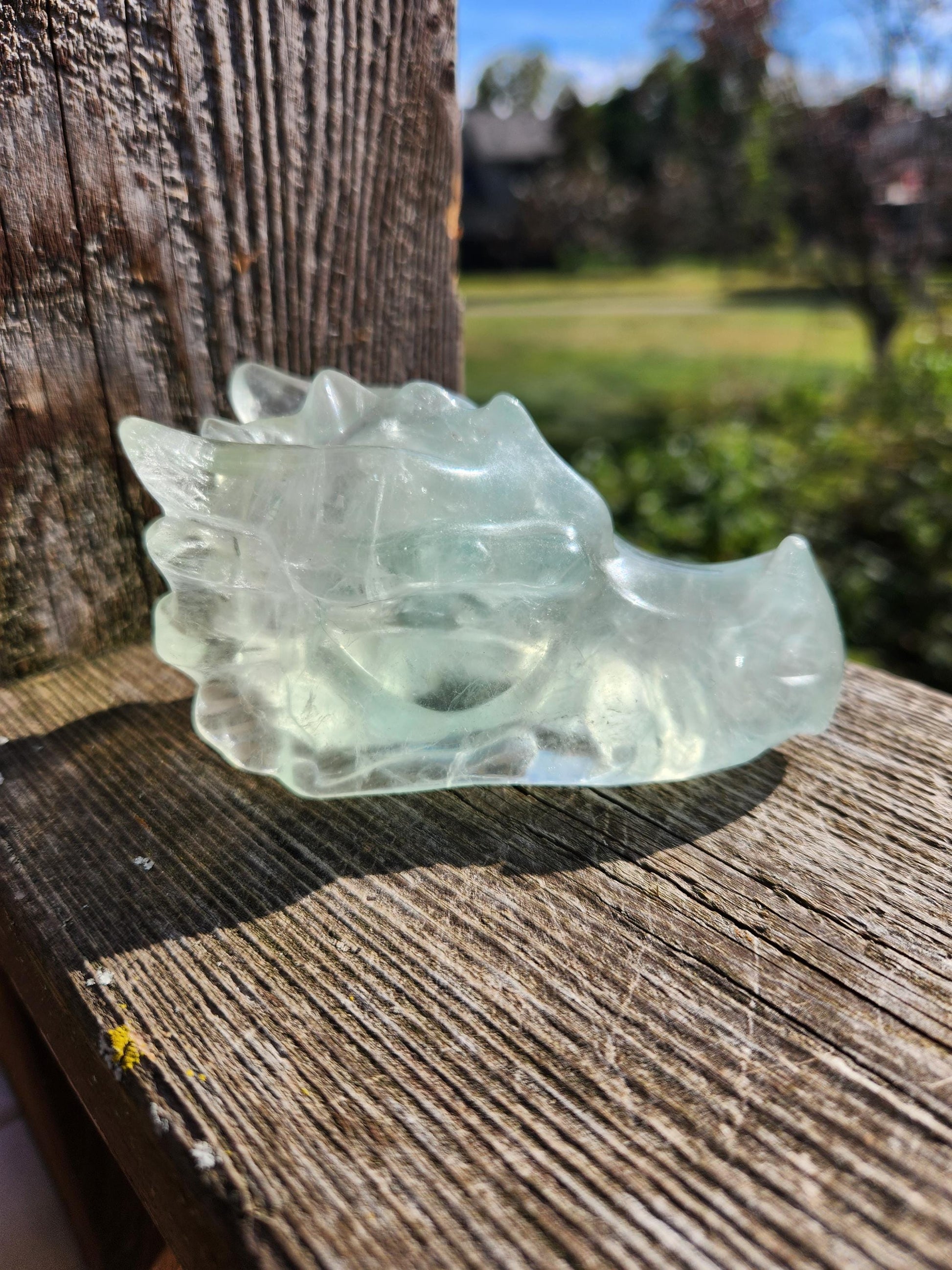 Beautiful AAA Natural Green Fluorite Crystal Carved Dragon Head, Year of the Dragon, DND