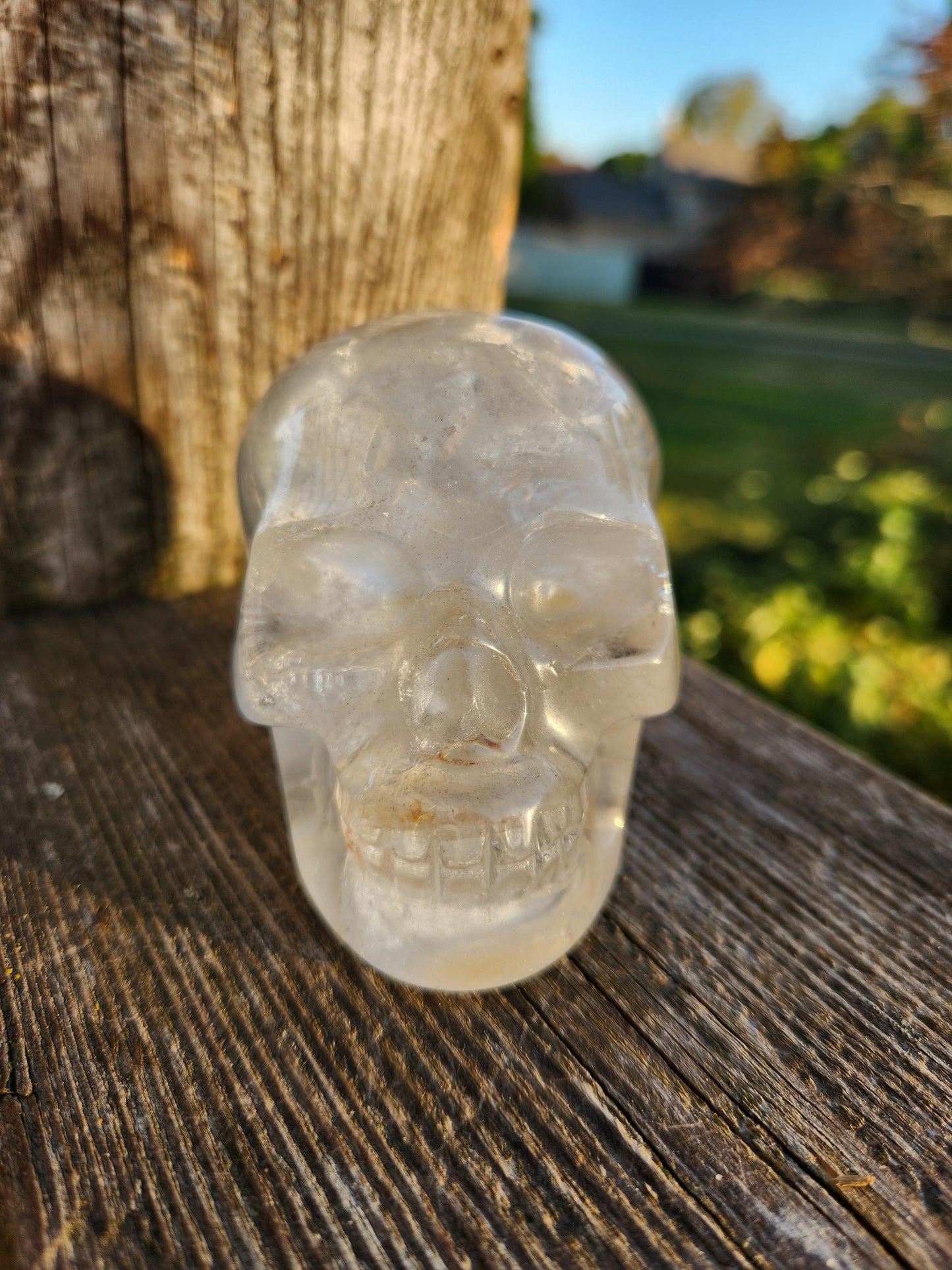Clear Quartz Crystal Skull: Golden Healer Inclusions