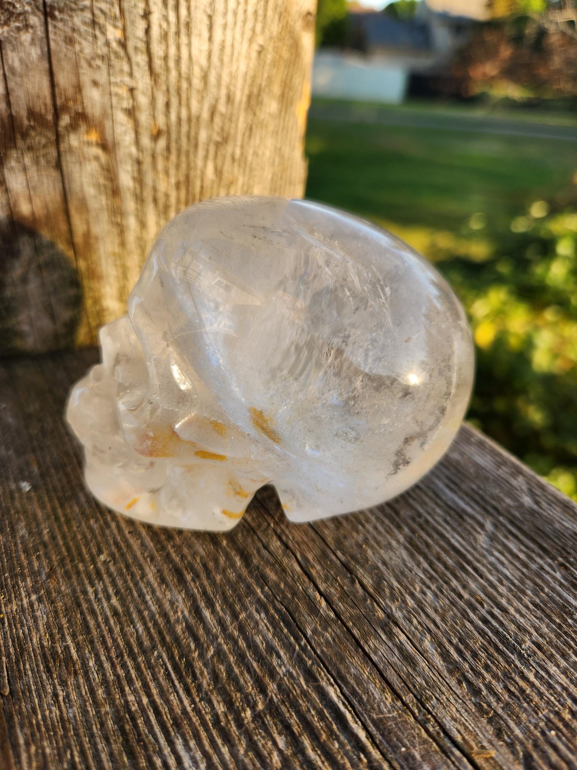 Clear Quartz Crystal Skull: Golden Healer Inclusions