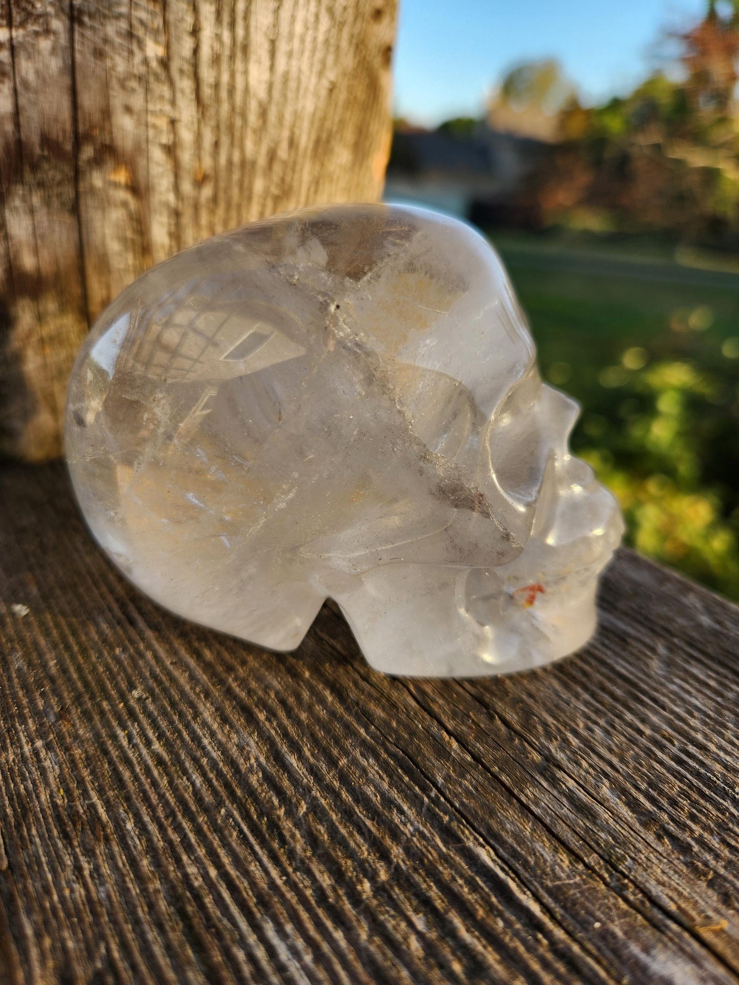 Clear Quartz Crystal Skull: Golden Healer Inclusions